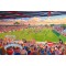 St James' Park Stadium Fine Art Exeter City FC